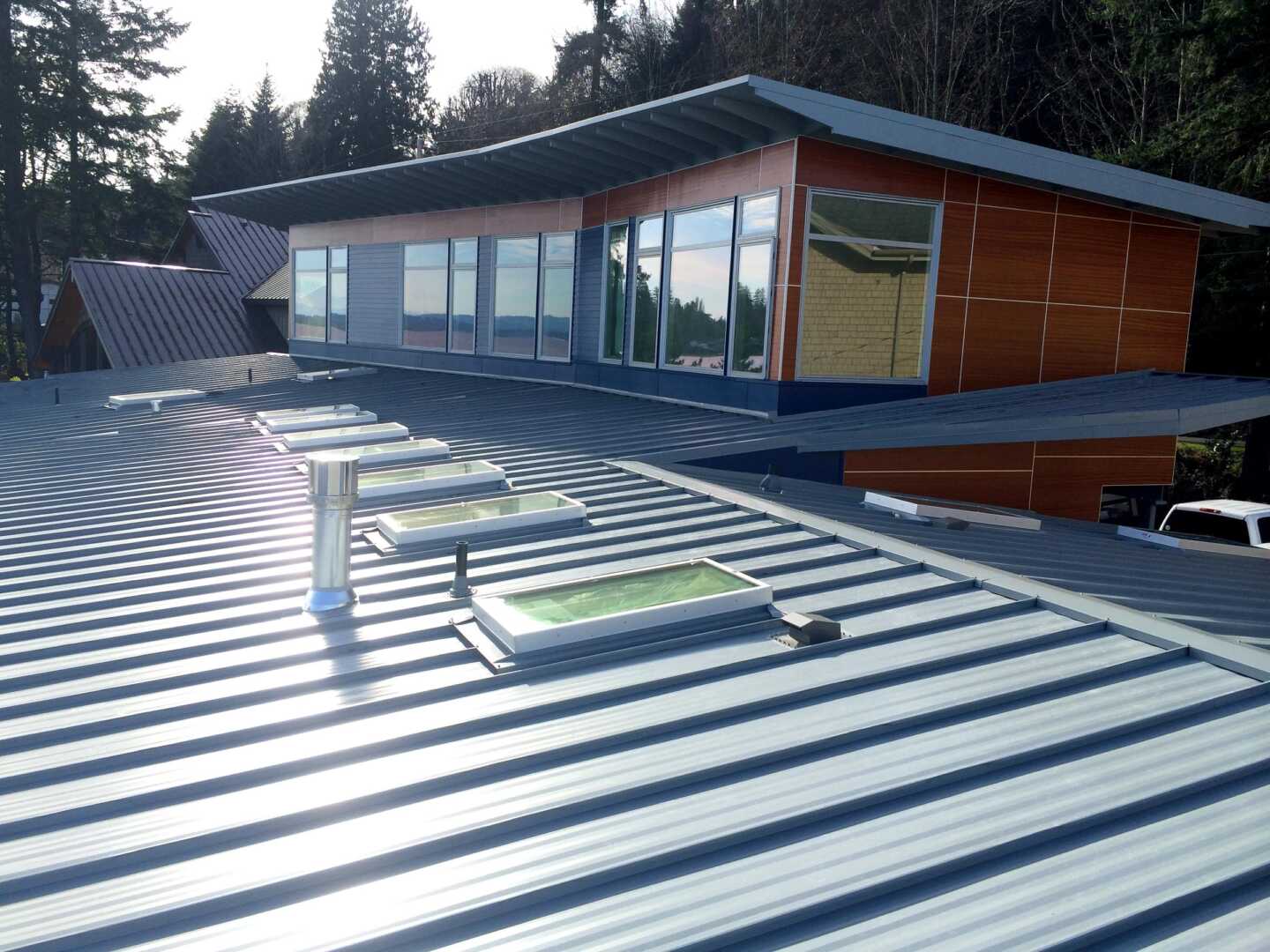 Modern home with a sleek metal roof featuring multiple skylights. The house has large windows and is surrounded by tall trees, highlighting a contemporary design with a mix of glass and wood paneling.