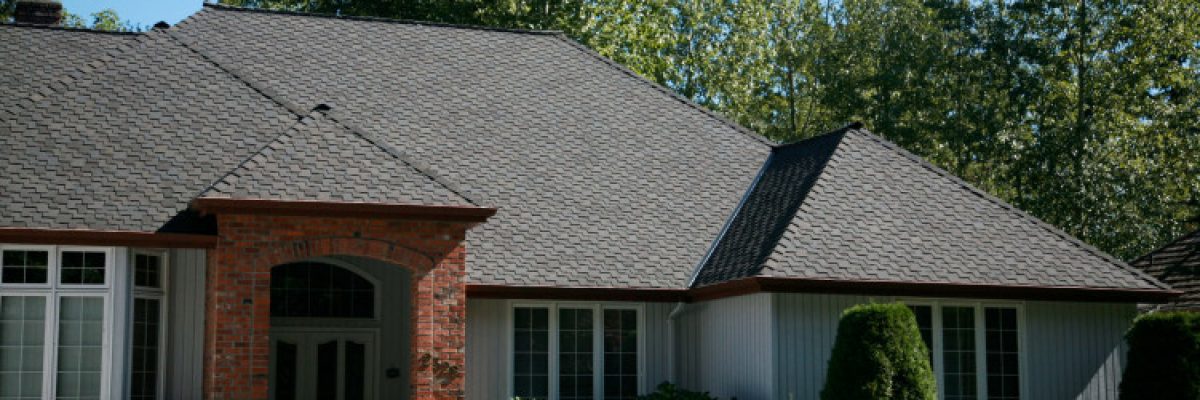 A suburban house with a mix of brick and light-colored siding, featuring large windows and a fresh asphalt roof. Surrounded by neatly trimmed bushes and tall trees in the background, the driveway leads to the entrance.